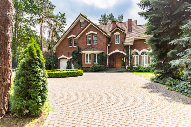 Best Driveway Paving Contractor  in Ness City, KS
